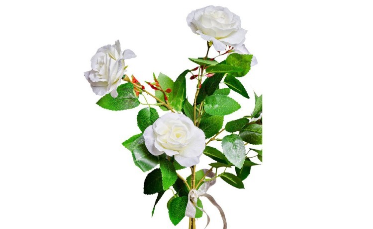 Роза белая 71 см (12) (00002892)