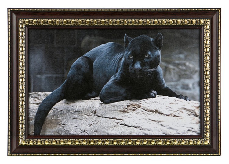 Картина "пантера" 40*25см. (562-155-27) 