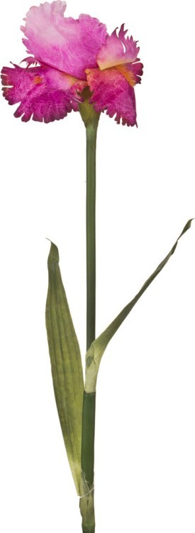 Искусственный цветок длина=86 см.(мал-12/кор=144шт.) Huajing Plastic (23-566)