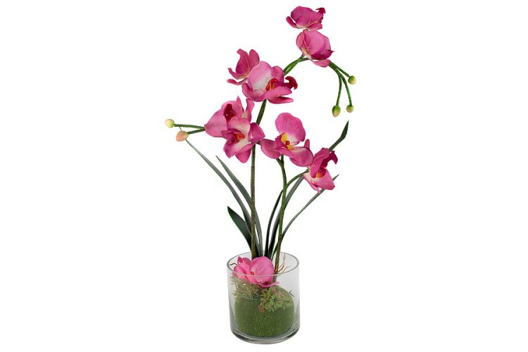 Декоративные цветы Орхидея бордо в стеклянной вазе - DG-16001-AL Dream Garden