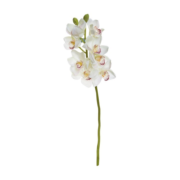 Орхидея белая, 101см (12) (00002221)