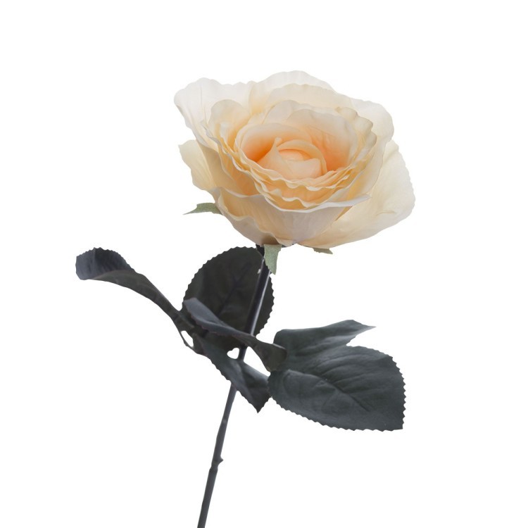 Роза кремовая 48 см (36) (00002431)