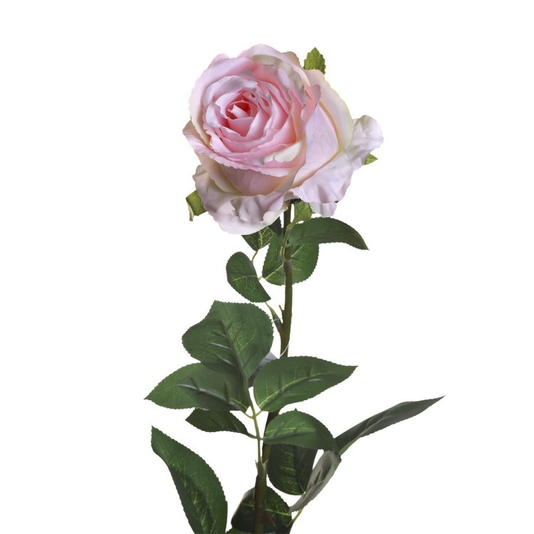 Роза нежно-розовая 80 см (12) (00002399)