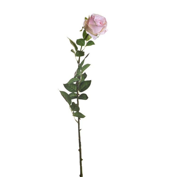 Роза нежно-розовая 80 см (12) (00002399)