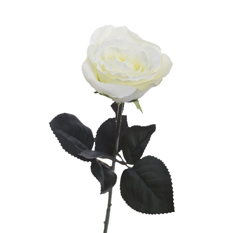 Роза белая 48 см (36) (00002428)