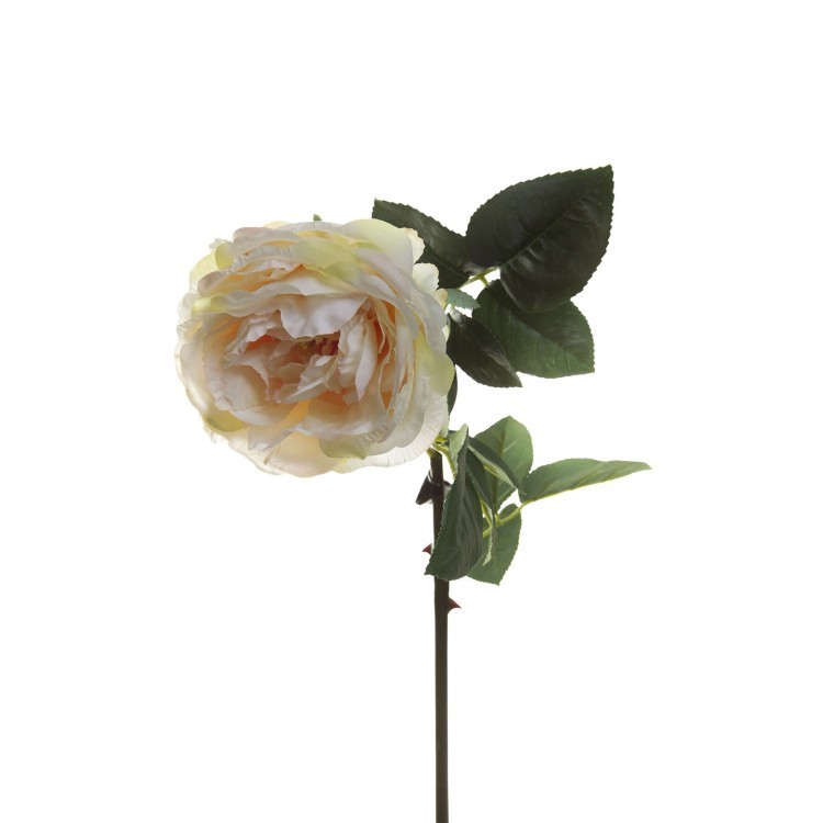 Роза нежно-жёлтая 85 см (12) (00001265)