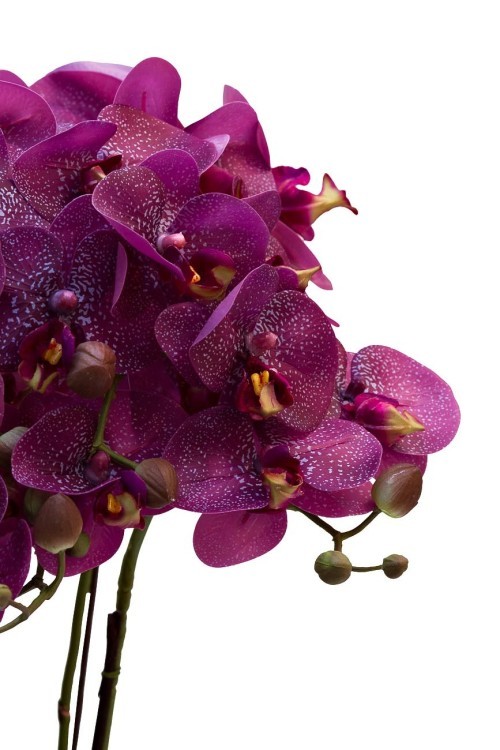 Орхидея темно-розовая в горшке, 64 см (TT-00000840)