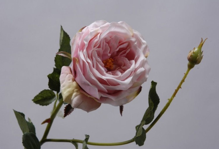Цветок искусственный "розовая роза" длина=60 см. Silk-Ka B.v. (654-049) 