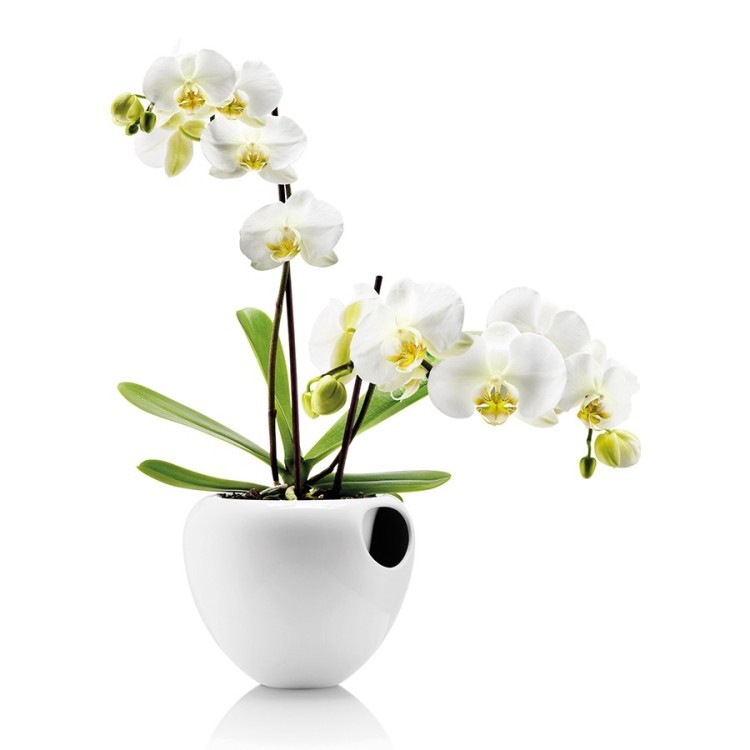 Горшок для орхидеи orchid pot белый (50454)