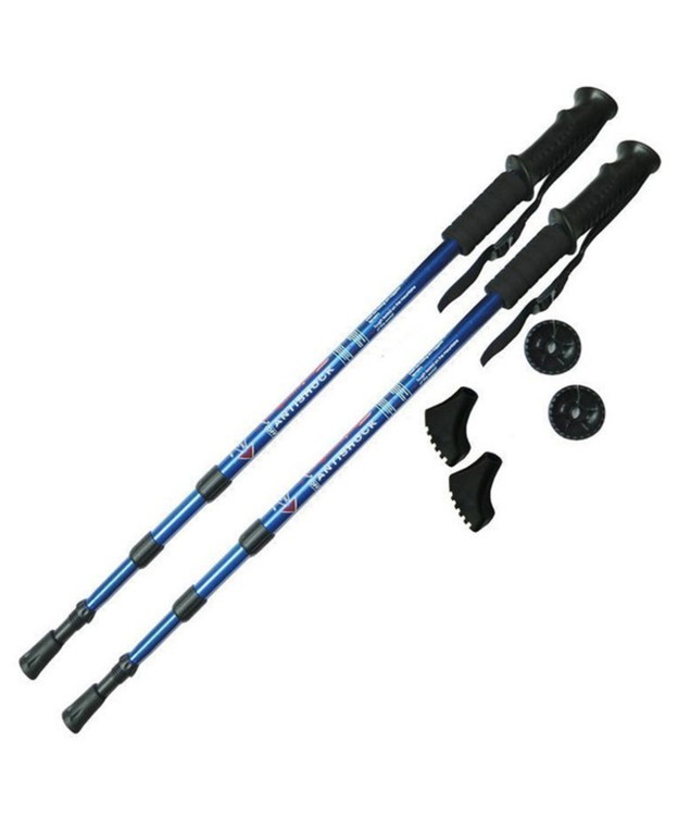 Палки для скандинавской ходьбы H10015-1 90-135 см, 3-секционные, синий (153542)