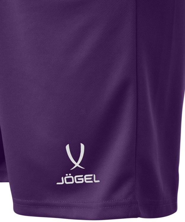 Шорты баскетбольные JÖGEL CAMP Basic, фиолетовый (1619729) Шорты баскетбольные JÖGEL CAMP Basic, фиолетовый (1619729)