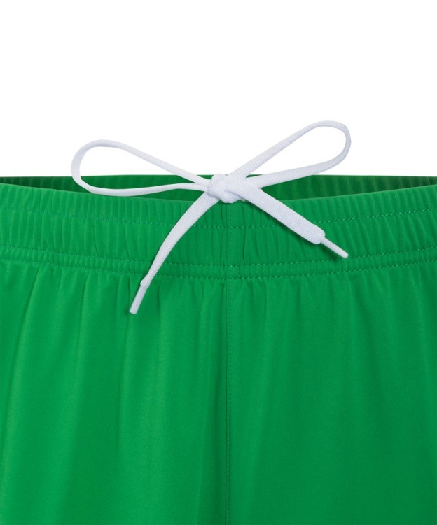 Шорты вратарские JOGEL NATIONAL PerFormDRY GK Shorts, зеленый (2113596)