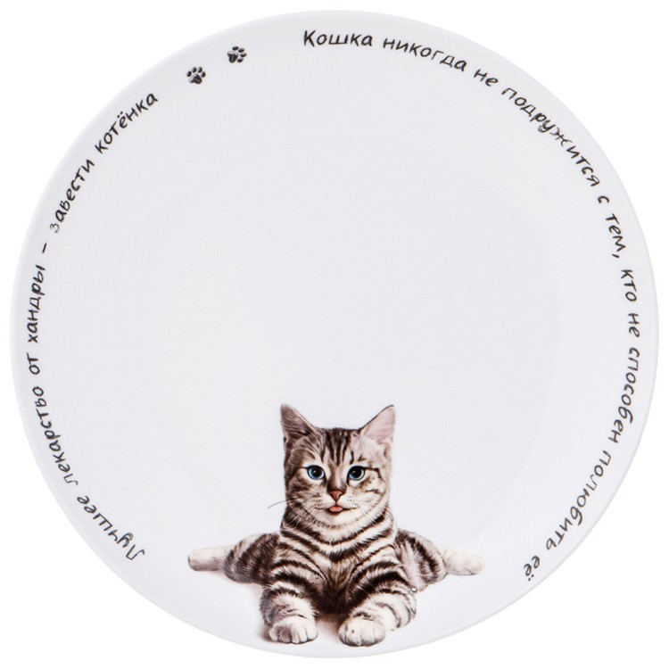 Тарелка закусочная lefard "бери кота" 20,5 см, разноцветный (104-966-11) 