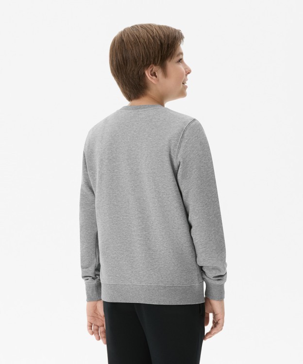 Свитшот JÖGEL ESSENTIAL Sweatshirt, серый меланж, детский (2121968) Свитшот JÖGEL ESSENTIAL Sweatshirt, серый меланж, детский (2121968)