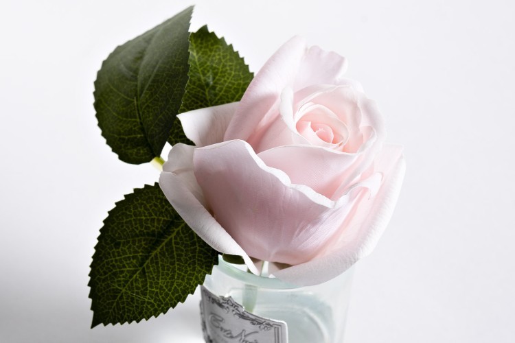 Диффуз.Rose Bud French Pink,спрей White Gardenia 5мл уп (TT-00006247)