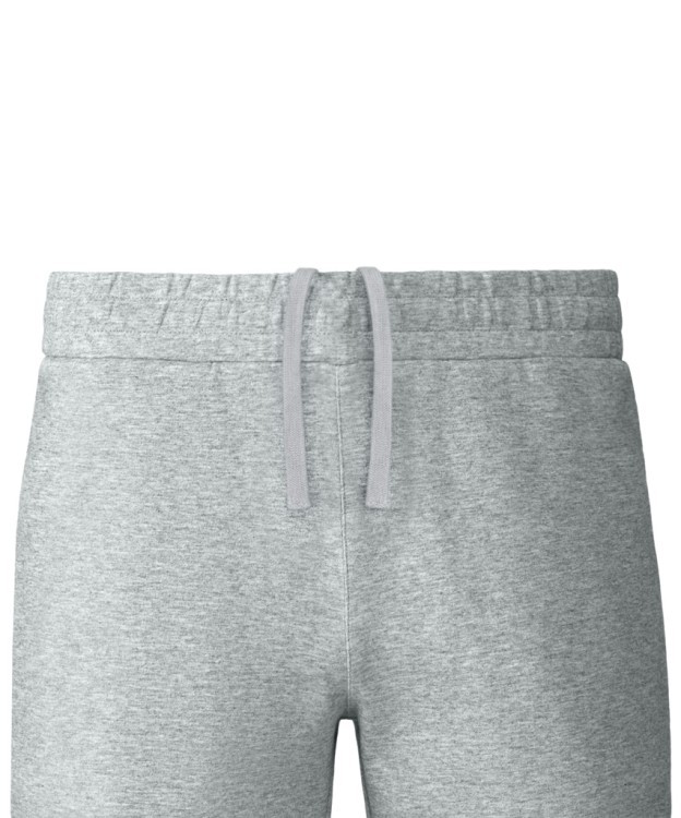 Шорты ESSENTIAL Athlete Shorts, серый (2118910) Шорты ESSENTIAL Athlete Shorts, серый (2118910)