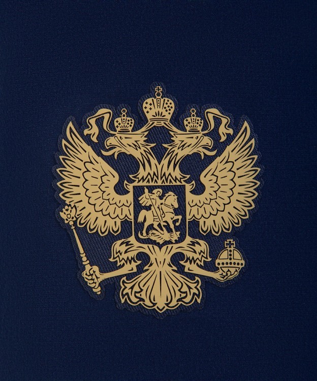 Шорты тренировочные JOGEL NATIONAL PerFormDRY Training Shorts, темно-синий (2110559)