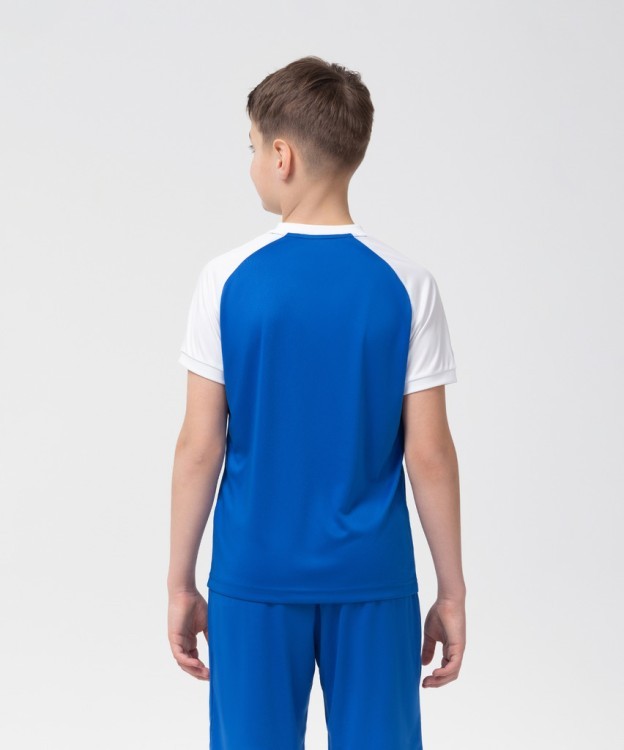 Футболка игровая CAMP Reglan Jersey, синий/белый, детский (702241) Футболка игровая CAMP Reglan Jersey, синий/белый, детский (702241)