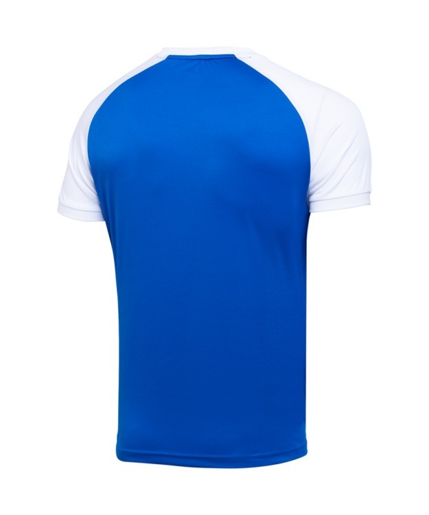 Футболка игровая JOGEL CAMP Reglan Jersey, синий/белый, детский (702241)