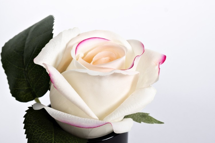 Диффузор Rose Bud Pink, спрей Rose Petal 5мл в упак. (TT-00006248)
