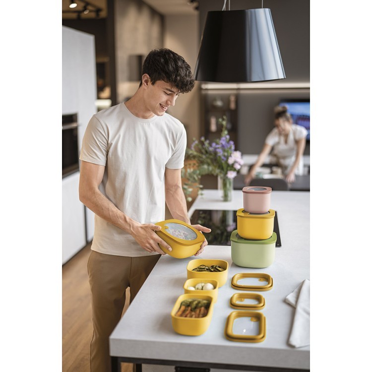 Контейнер для хранения store&more, 2,8 л, розовый (75523) Контейнер для хранения store&more, 2,8 л, розовый (75523)