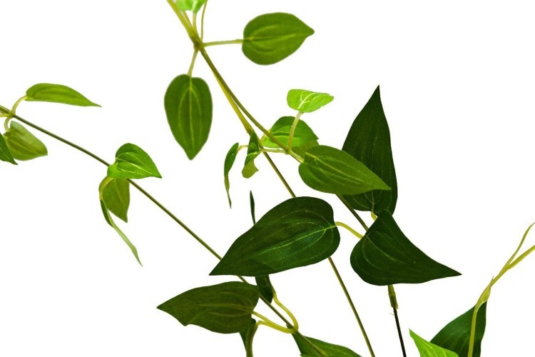 Веточка с листьями 80 см (24) (TT-00000678)