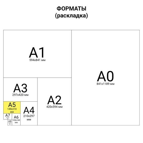 Тетрадь на кольцах А5 Brauberg Main 120 листов клетка 402004 (2) (86300)