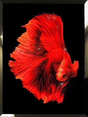 Картина Красная рыба с кристаллами Swarovski (2349)