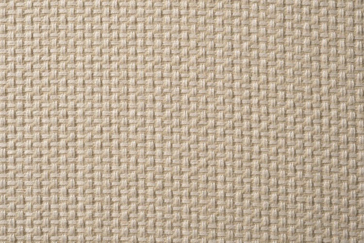 -BOTEGA SVBEG Ткань (TT-00013183)