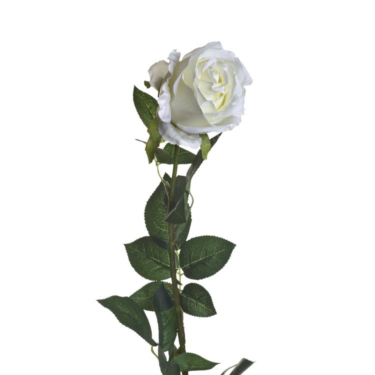 Роза белая 80 см (12) (00002400)
