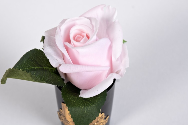 Диффузор Rose Bud Frech Pink, спрей Pink Peonies 5м уп (TT-00006249)