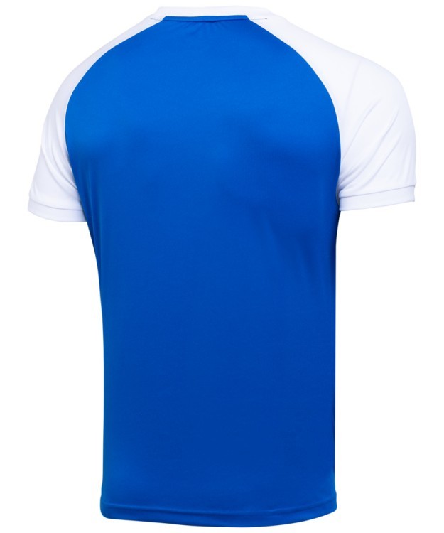 Футболка игровая CAMP Reglan Jersey, синий/белый (701688) Футболка игровая CAMP Reglan Jersey, синий/белый (701688)