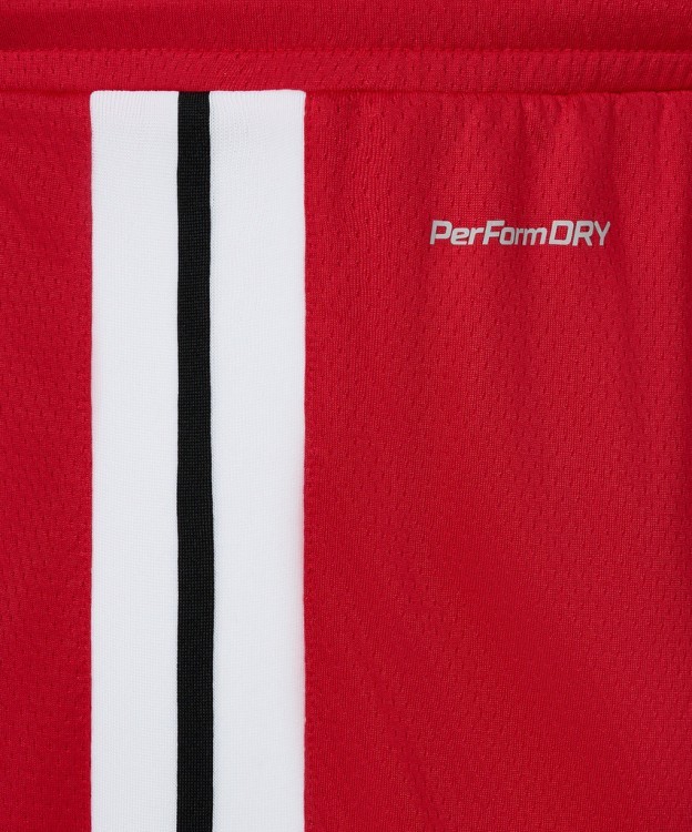 Шорты баскетбольные JÖGEL DIVISION PerFormDRY Shorts R2, красный (2130670)