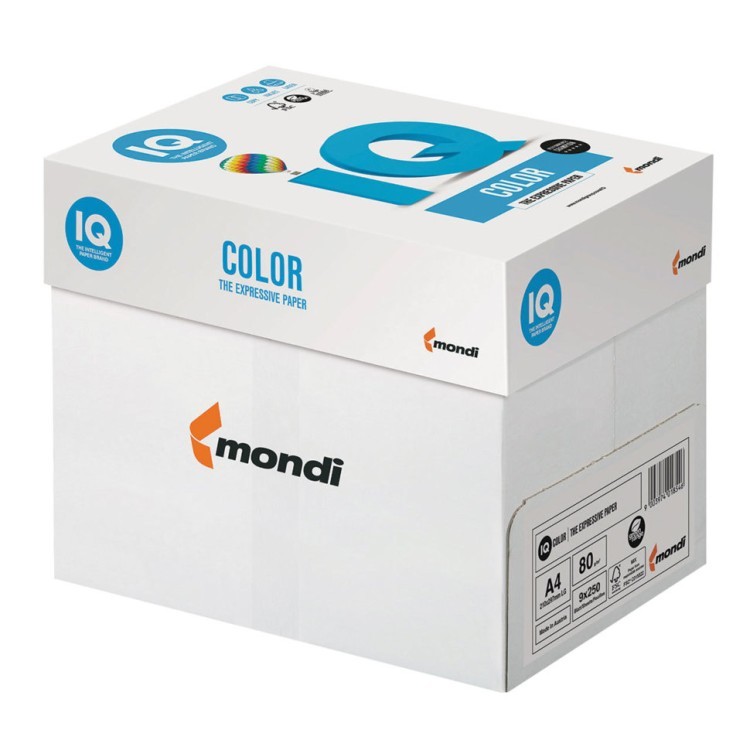 Бумага цветная для принтера IQ Color А4 80 г/м2 250 листов 5 цветов RB02/110691 (1) (65391) Бумага цветная для принтера IQ Color А4 80 г/м2 250 листов 5 цветов RB02/110691 (1) (65391)