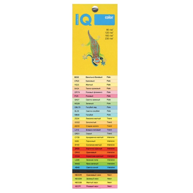 Бумага цветная для принтера IQ Color А4 80 г/м2 250 листов 5 цветов RB02/110691 (1) (65391)