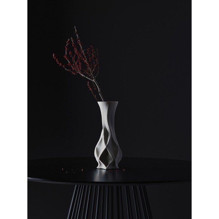Ваза для сухоцветов printed art, curve, 32 см (78157) Ваза для сухоцветов printed art, curve, 32 см (78157)