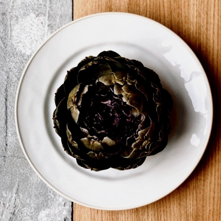 Тарелка ATR221-CRM(ATR221-05407E), керамика, white, Costa Nova