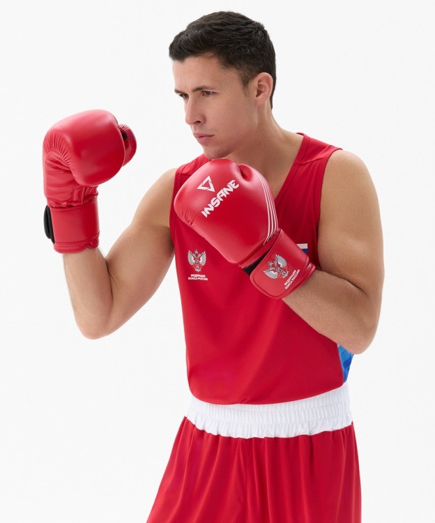 Перчатки боксерские INSANE RBF, красный, 10 oz (2127993)