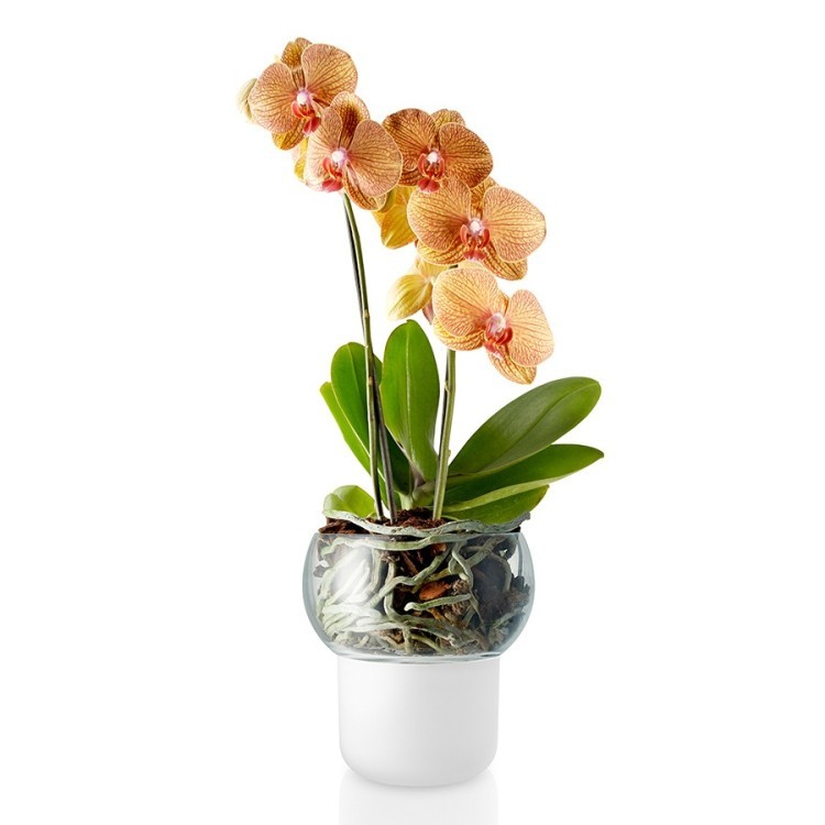 Горшок для орхидеи с функцией самополива 13 см (58595)