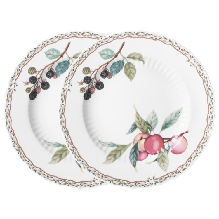 Набор тарелок обеденных lefard "fruit garden" 2 шт. 25,5 см Lefard (590-649)