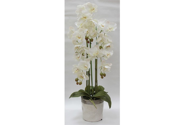 Декор.цветы Орхидеи белые в керам.вазе - DG-F6835W Dream Garden