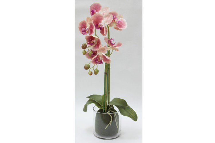 Декор.цветы Орхидея тём.розовая в стекл.вазе - DG-F6836DP Dream Garden