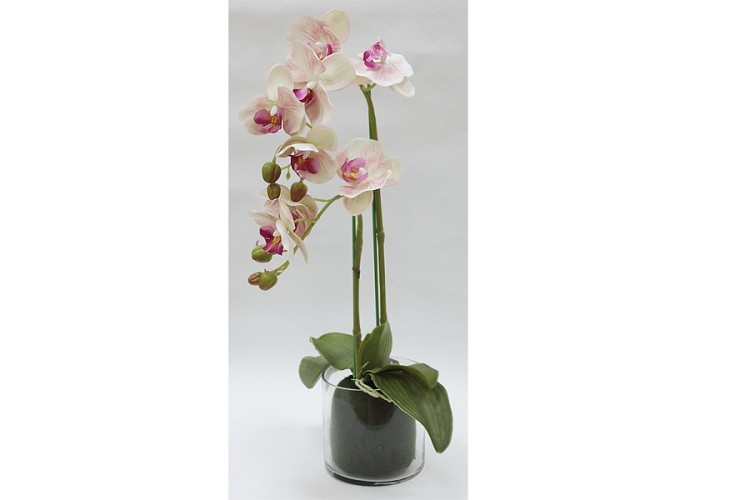 Декор.цветы Орхидея св.розовая в стекл.вазе - DG-F6836LP Dream Garden