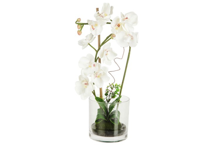 Декоративные цветы Орхидея белая в стеклянной вазе - DG-15015-AL Dream Garden