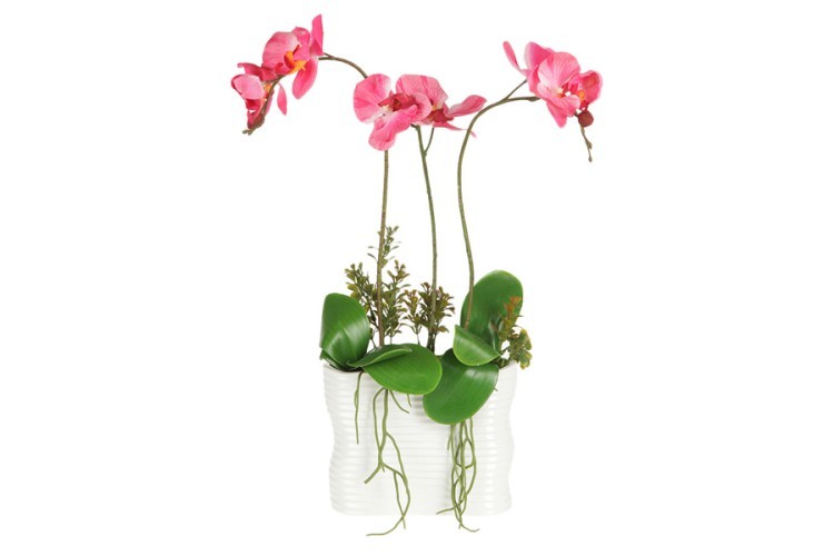 Декоративные цветы Орхидея тем розовая в керамической вазе Dream Garden ( DG-15018-AL )