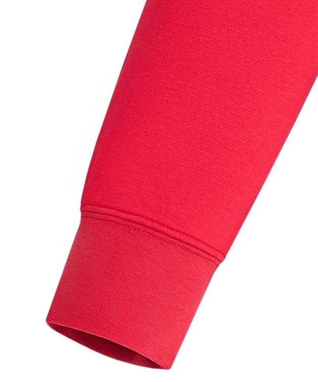 Худи JÖGEL ESSENTIAL Cotton Hoodie, красный (2117159) Худи JÖGEL ESSENTIAL Cotton Hoodie, красный (2117159)