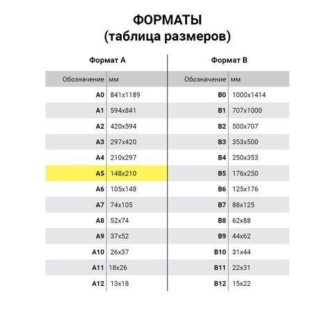 Тетрадь на кольцах А5 Brauberg 80 листов клетка 403913 (4) (86335)