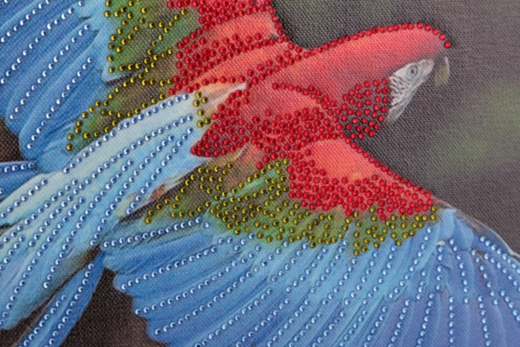 Картина синий ара, стразы,61х42см (562-035-28) 