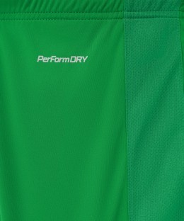Шорты игровые JOGEL DIVISION PerFormDRY Union Shorts, зеленый (1583843)