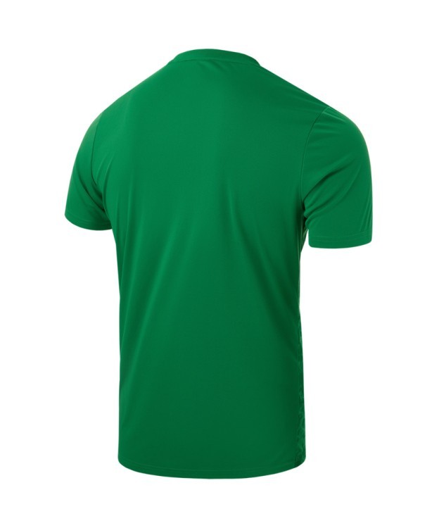 Футболка вратарская JOGEL DIVISION PerFormDRY SPLASH GK Jersey, зеленый (2120577)